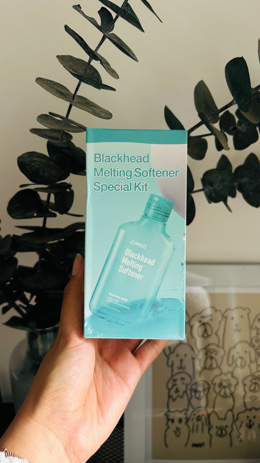 Una mano sostiene una caja turquesa etiquetada Jumiso Blackhead Melting Softener de Bemba, ideal para pieles grasas y limpieza de poros, frente a ramas de eucalipto secas y una ilustración enmarcada.