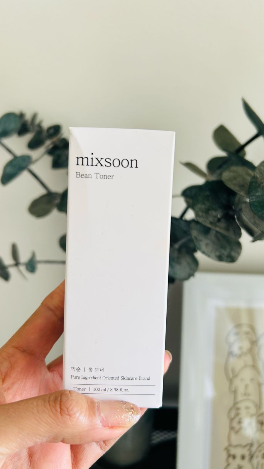 Una mano sostiene una caja blanca con la etiqueta Mixsoon Bean Toner de Bemba., ideal para pieles grasas. Contiene fermentos de soja para una piel fresca y equilibrada, con vegetación y un cuadro desenfocado al fondo.
