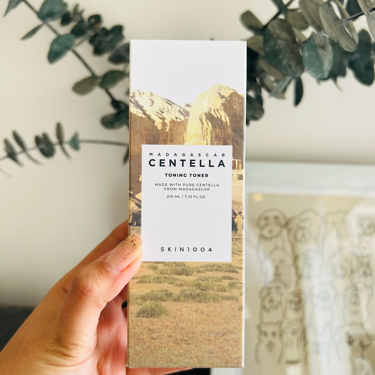 Una mano sostiene una caja de SKIN1004 Madagascar Centella Toning Toner de Bemba., ideal para hidratar la piel y calmar rojeces con centella asiática, frente a ramas verdes y un cojín minimalista decorado con perros.